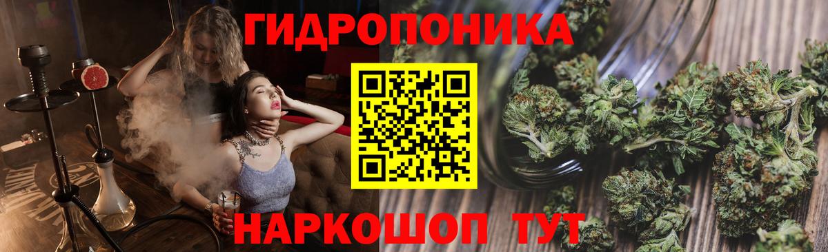 Шишки марихуана OG Kush Краснокамск